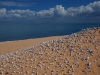 baz-dunes-of-shells.jpg
