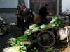 dal-cabbages-at-the-market.jpg
