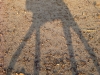 jai-camel-shadow.jpg