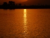 lux-amber-waters-of-the-nile.jpg