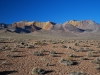 lau-desert-sands.jpg